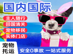 尧都机场快运国际宠物托运 【国